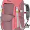 Jack Wolfskin Explrr 20 Backpack Kids, Violet/roze